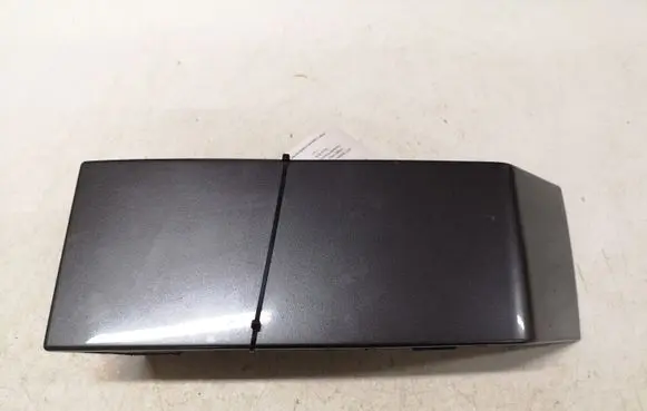 Rear/tail light trim molding