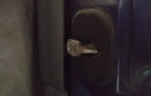 Renault Laguna I Front door check strap stopper 
