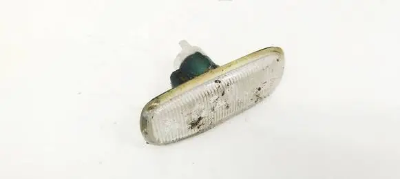 Front fender indicator light