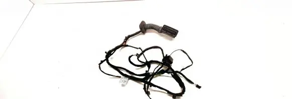 Rear door wiring loom
