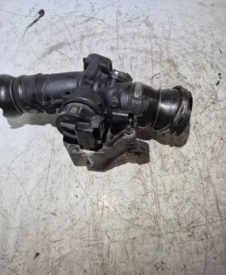 Citroen C4 I Throttle valve 9660030480 25363285