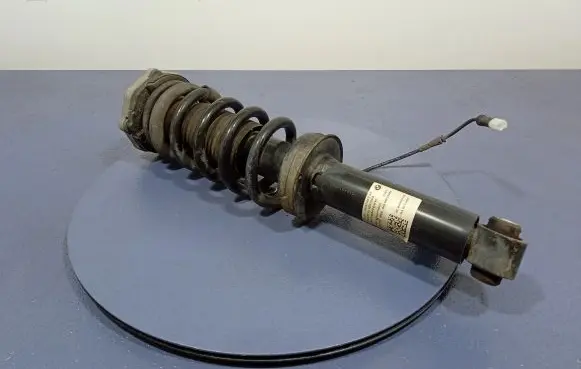 BMW X3 G01 Rear shock absorber/damper 8067507