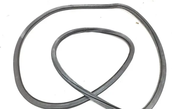 Volkswagen Tiguan Allspace Rear door rubber seal (on body) 
