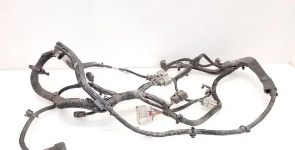 Tesla Model X Other wiring loom 103244890F