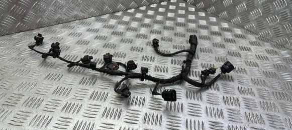 Other wiring loom