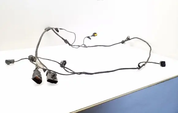 Citroen C6 Other wiring loom