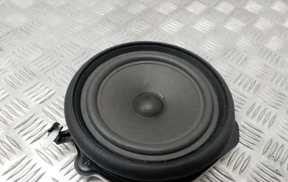 Seat Exeo (3R) Rear door speaker 8E0035411