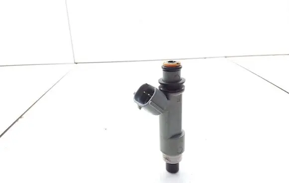Suzuki Liana Fuel injector 2975000540