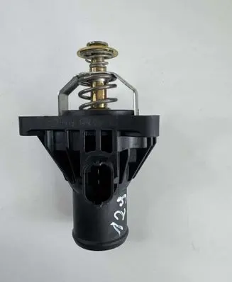 Opel Insignia A Thermostat/thermostat housing 2503185 55587349
