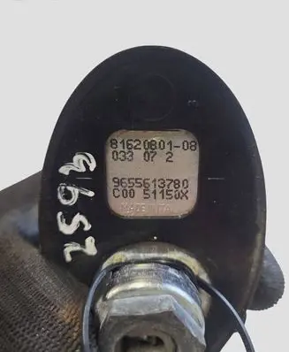 Citroen C4 I Radio antenna 8162080108