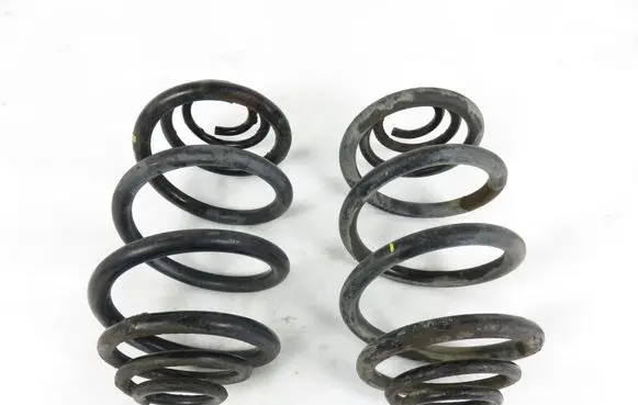 Rear coil spring