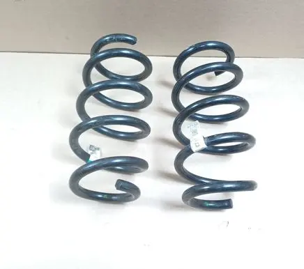 Tesla Model Y Rear coil spring 118847400B