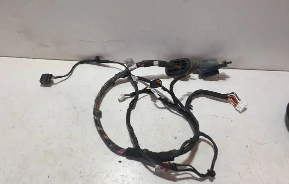 Hyundai Kona I Front door wiring loom 91600J9220