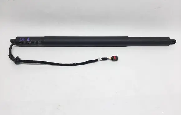 Tailgate strut