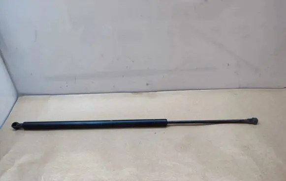 Tailgate/trunk strut/damper