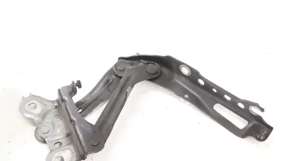 Skoda Superb B8 (3V) Engine bonnet/hood hinges 3V0823301