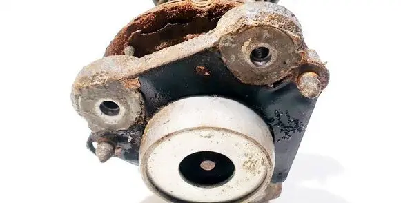 Coil spring mount