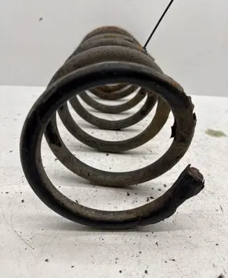Rear coil spring