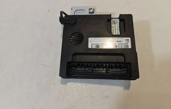 Hyundai Santa Fe Other control units/modules 954002B480