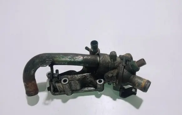 Thermostat/thermostat housing