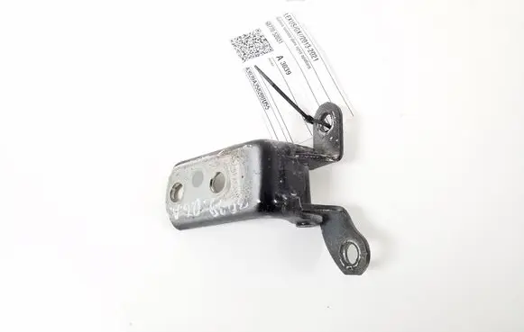 Rear door lower hinge