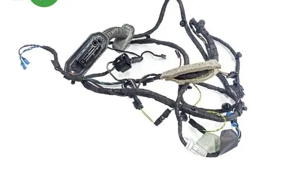 BMW 5 F10 F11 Front door wiring loom 9291048 4380893 9149009