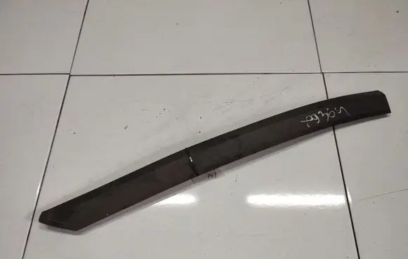 Dodge Caliber Rear door trim (molding)