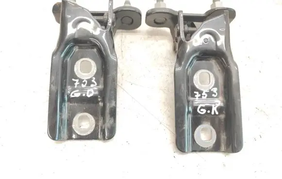 Tailgate/trunk/boot hinge