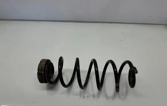Audi A4 S4 B8 8K Rear coil spring BE80