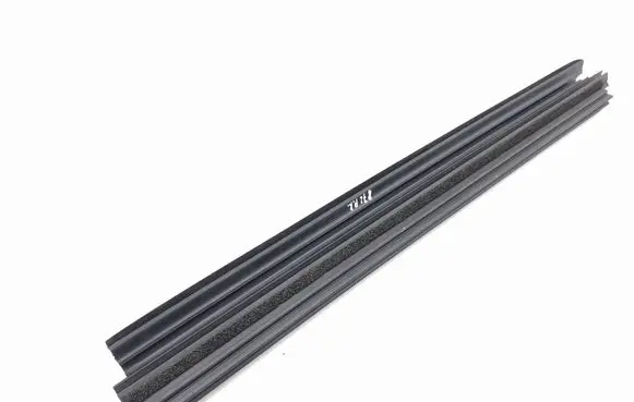Toyota C-HR I Rubber seal front door window/glass 