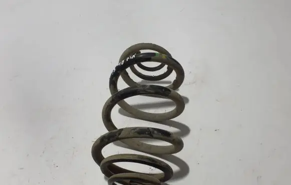 Opel Vivaro Rear coil spring 8200168005
