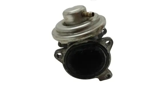 Skoda Fabia Mk2 (5J) EGR valve 045131501K 266814064