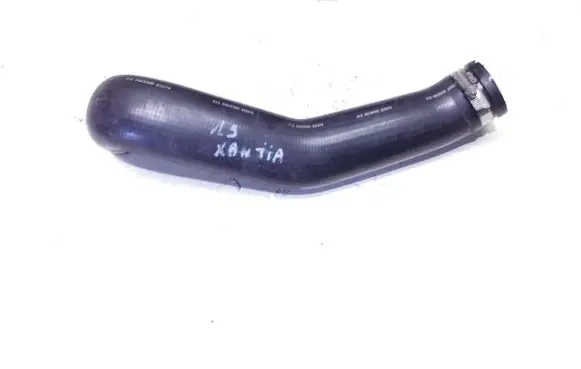 Citroen Xantia Coolant pipe/hose 0263124