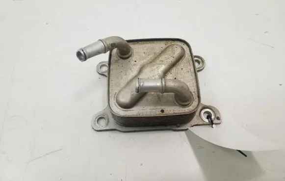 Oil filter mounting bracket