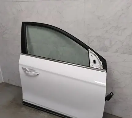 Hyundai Ioniq Front door 