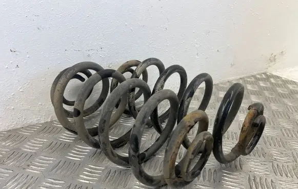 Rear coil spring
