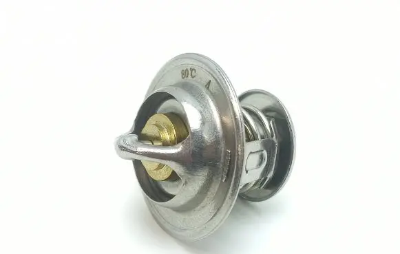 Microcar M8 Thermostat 9195124 811200