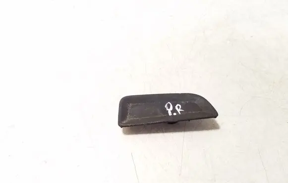 Other front door trim element