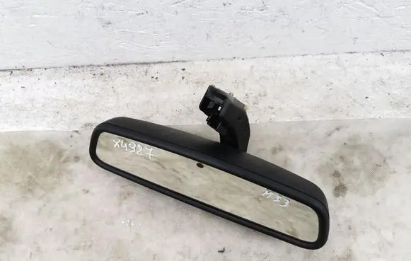 Renault Zoe Rear view mirror (interior) GNTX480