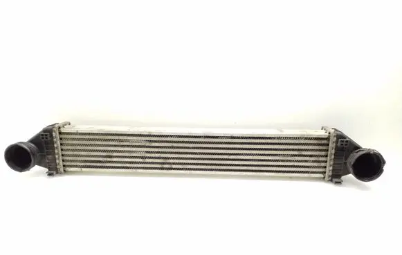 Mercedes-Benz B W245 Intercooler radiator A1695000900