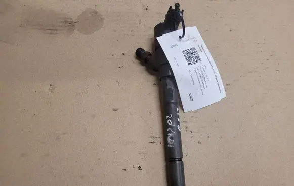 KIA Carens II Fuel injector 0445110258 3380027400