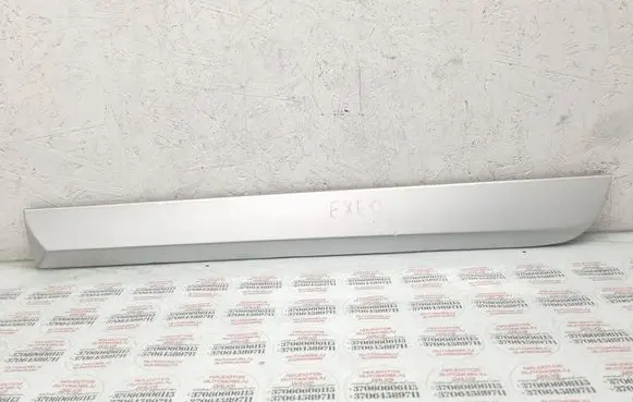 Rear door trim (molding)