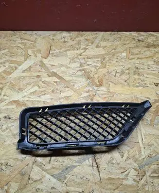 BMW X1 E84 Front bumper lower grill 7303756