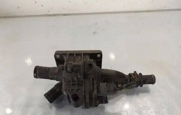 Thermostat/thermostat housing