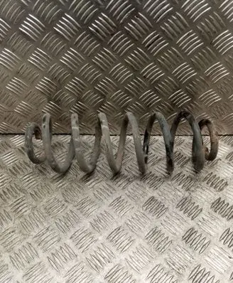 Volkswagen PASSAT B6 Rear coil spring