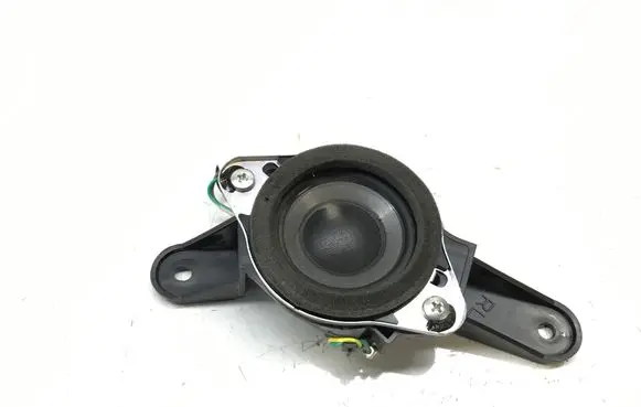 Front door speaker
