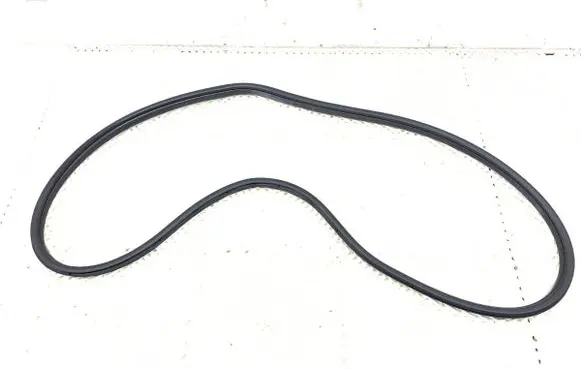 BMW 3 F30 F35 F31 Rubber seal front door (on door) 7258312