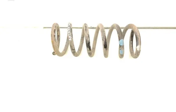 Rear coil spring