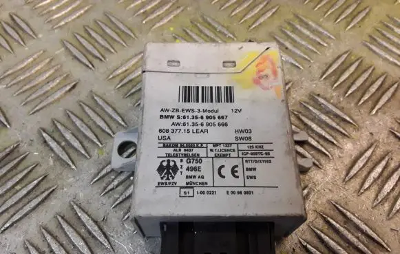 BMW X5 E53 CAS control unit/module 6905667