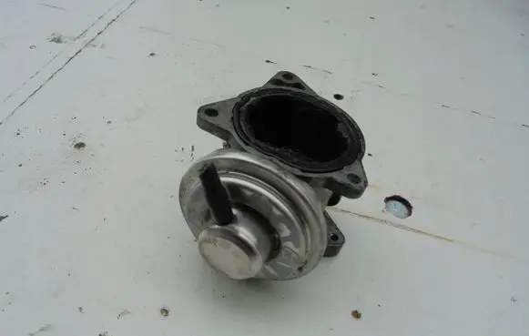 EGR valve